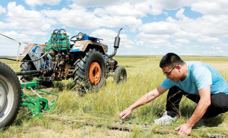 "打草季"弥漫青草香