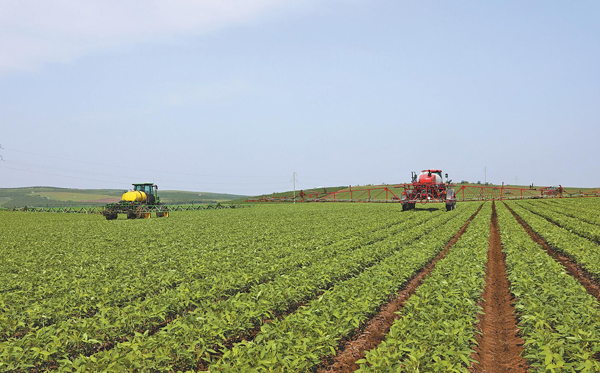 科技"撑腰" 呼伦贝尔农业绘出高质量发展"上扬线"