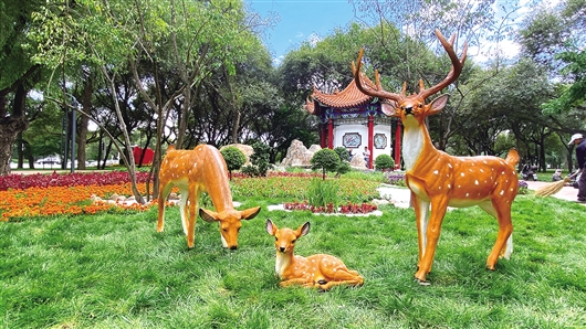 公园里那流动的风景