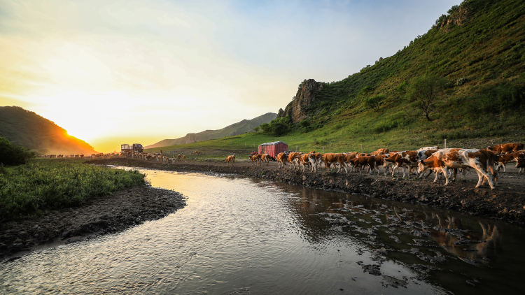 扎鲁特旗:草原上的走敖特尔-新闻中心-内蒙古新闻网