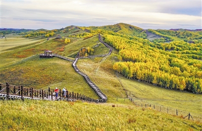 乌兰布统草原秋色如画-经济-内蒙古新闻网