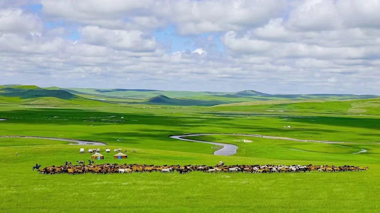 您当前的位置:>内蒙古新闻网>新闻中心>要闻>综合新闻>呼伦贝尔市上下