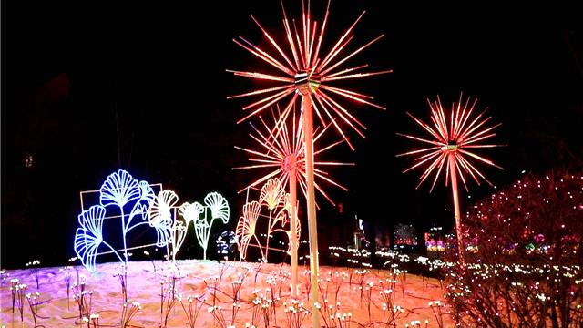 阿荣旗流光溢彩迎新春