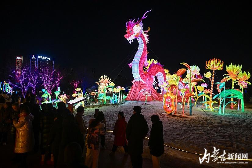 春节赏灯-新闻中心-内蒙古新闻网