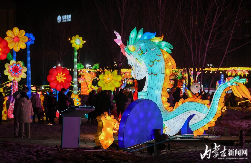 春节赏灯-新闻中心-内蒙古新闻网