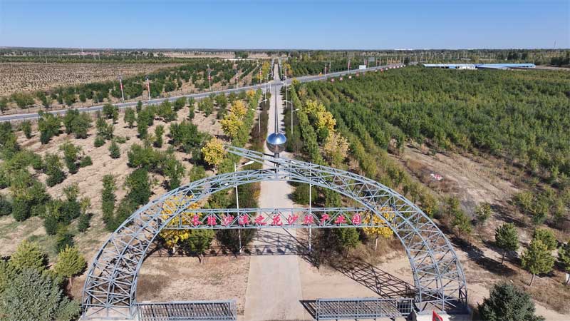 长胜镇沙漠之花沙棘产业园景色宜人趣味运动会热闹非凡