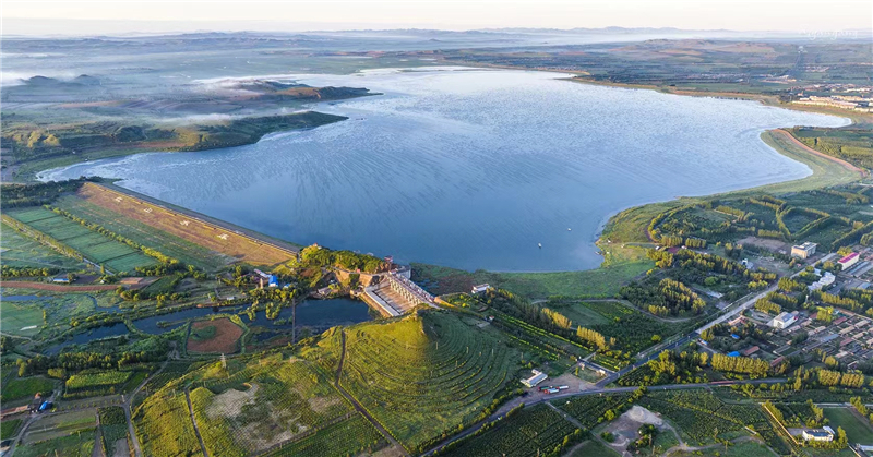 >内蒙古新闻网>新闻中心>要闻>综合新闻>丰饶美丽的红山水库天鹅归来