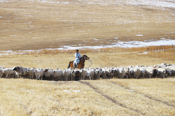 牧民春喜:直播带货促增收-兴安盟-内蒙古新闻网