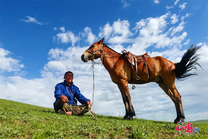从草原到大海这匹马萌又帅