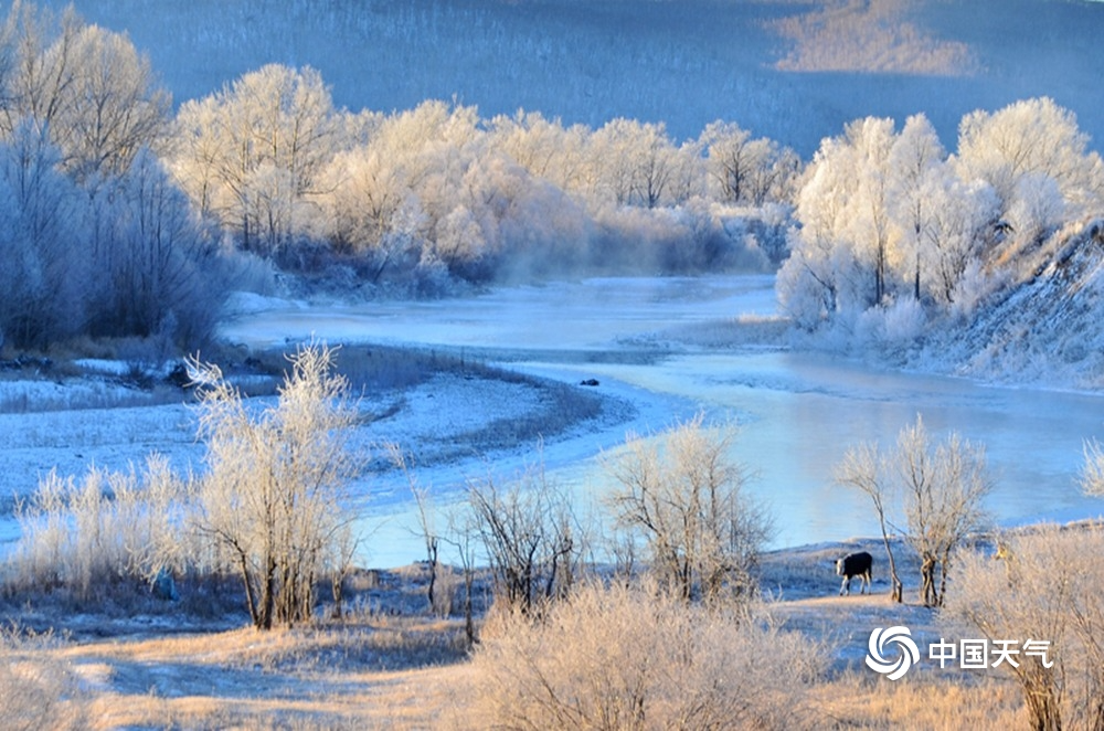根河市"冷极不冻河"岸边景观.赤峰市克什克腾旗阿斯哈图冬日晨曦.