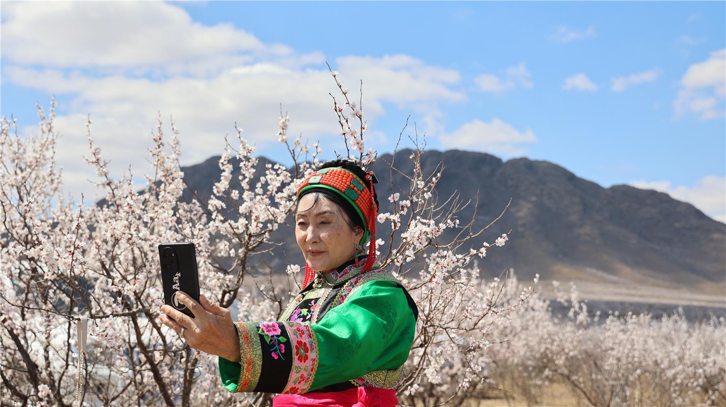 赏花正当时!扎鲁特旗第四届山杏花·杜鹃花节开幕