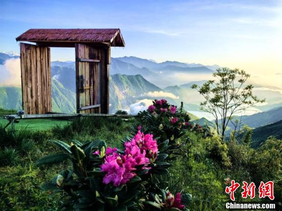 四川汶川:高山杜鹃花盛放点缀山野