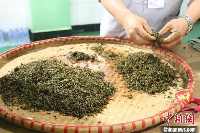 江西修水上演传统制茶技艺 宁红茶香飘万里-国内频道-内蒙古新闻网