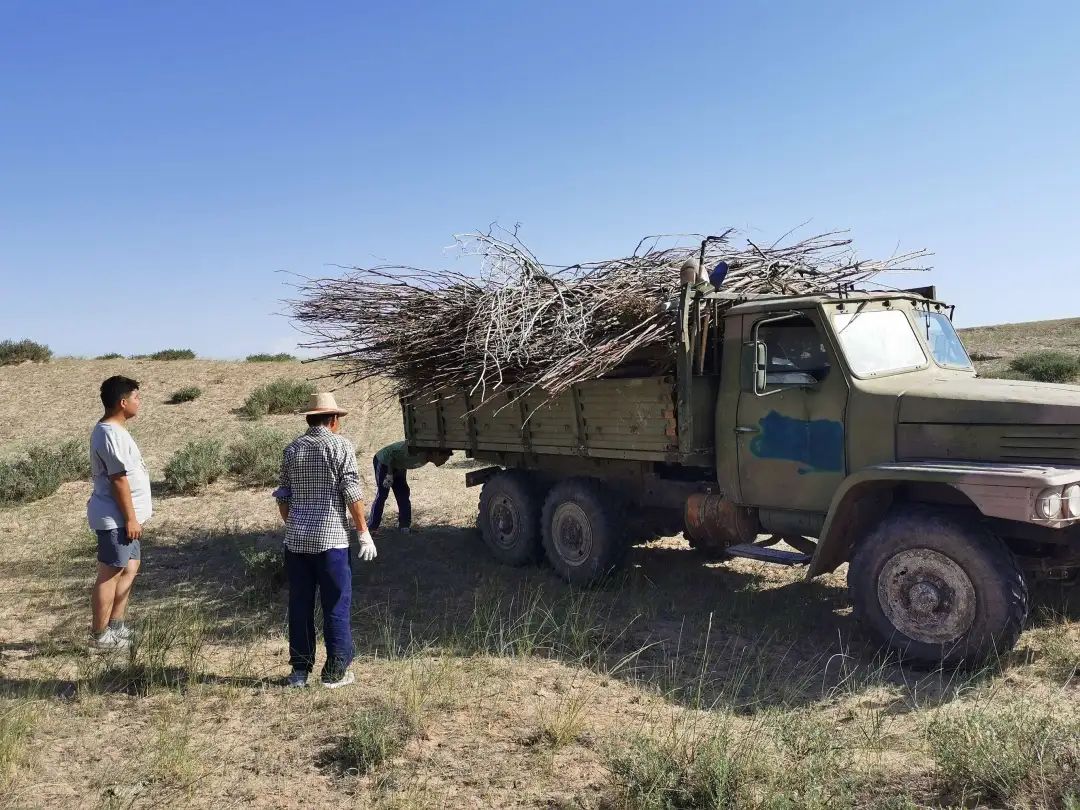 牧场"愚公"乌力吉:50岁投身治沙,80岁总结出书-新闻中心-内蒙古新闻网