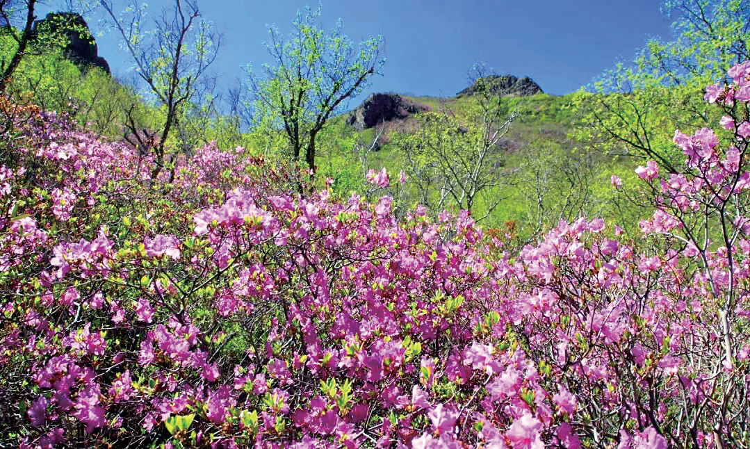 乡村旅游让好风景变好"钱"景
