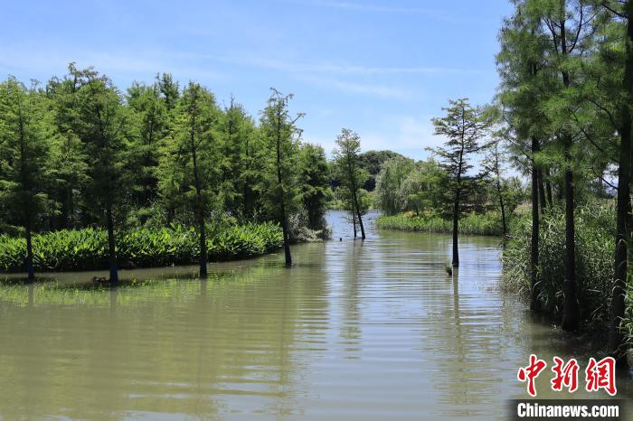 探杭州铜鉴湖:老矿山变身城市"大海绵"