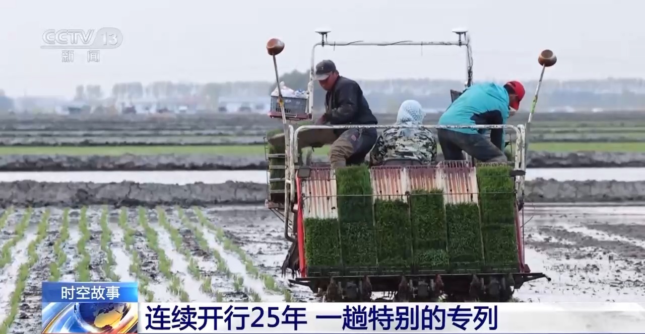 “粮食安全”是什么？是插秧机的往来穿梭 也是插秧客的披星戴月-国内频道-内蒙古新闻网