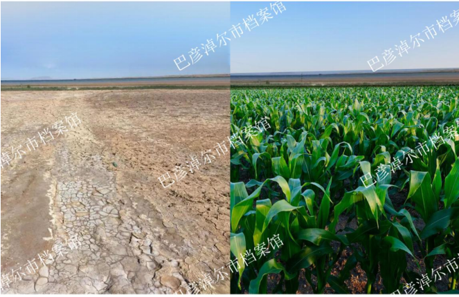 上世纪八十年代河套灌区使用世界银行贷款推动灌排配套体系建设-资讯-内蒙古新闻网