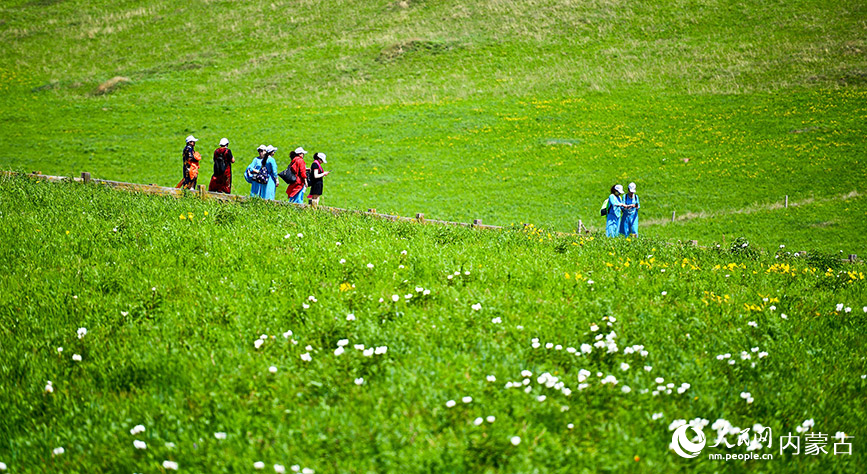 “天边草原”乌拉盖 夏日风景美如画-新闻中心-内蒙古新闻网