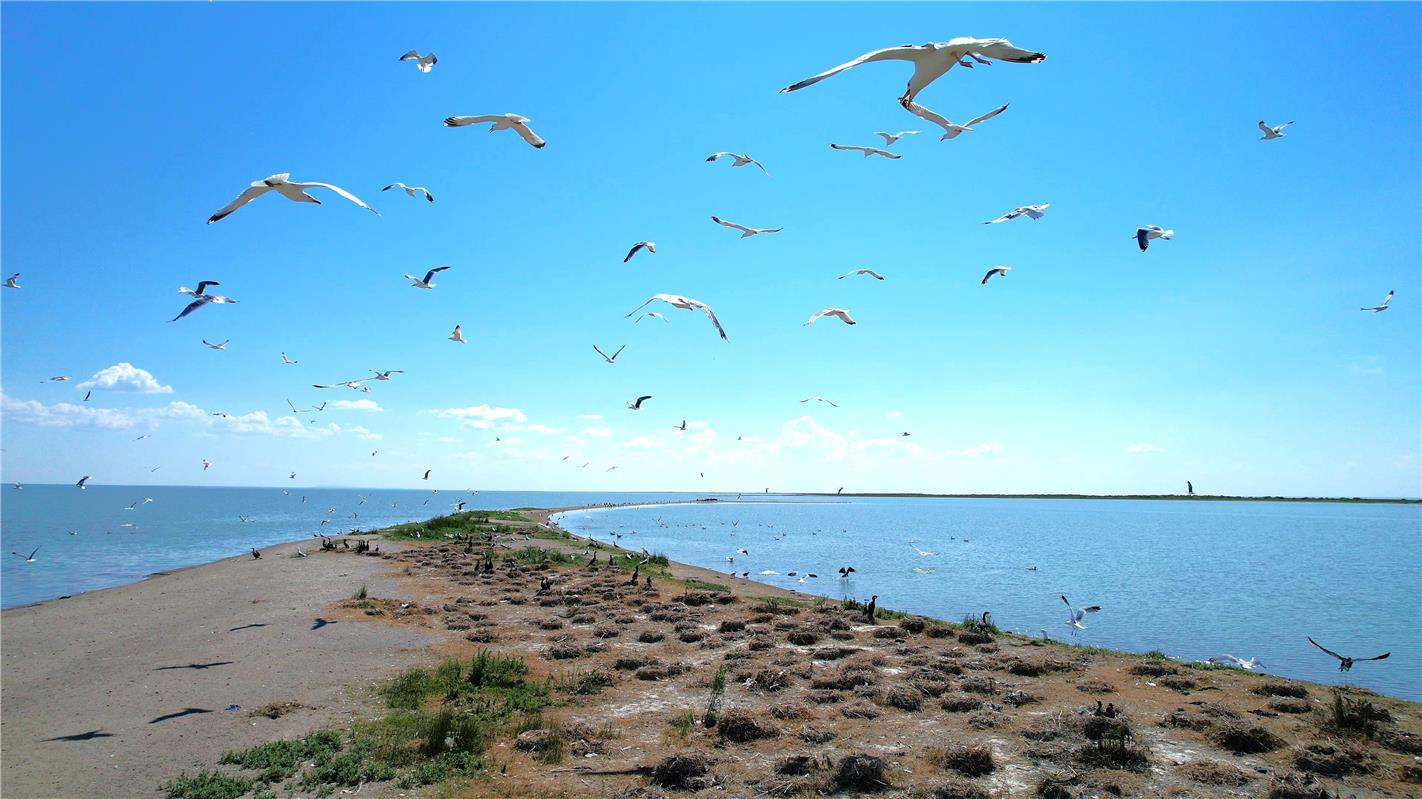 呼伦湖水域面积较2023年同期有所增长-新闻中心-内蒙古新闻网