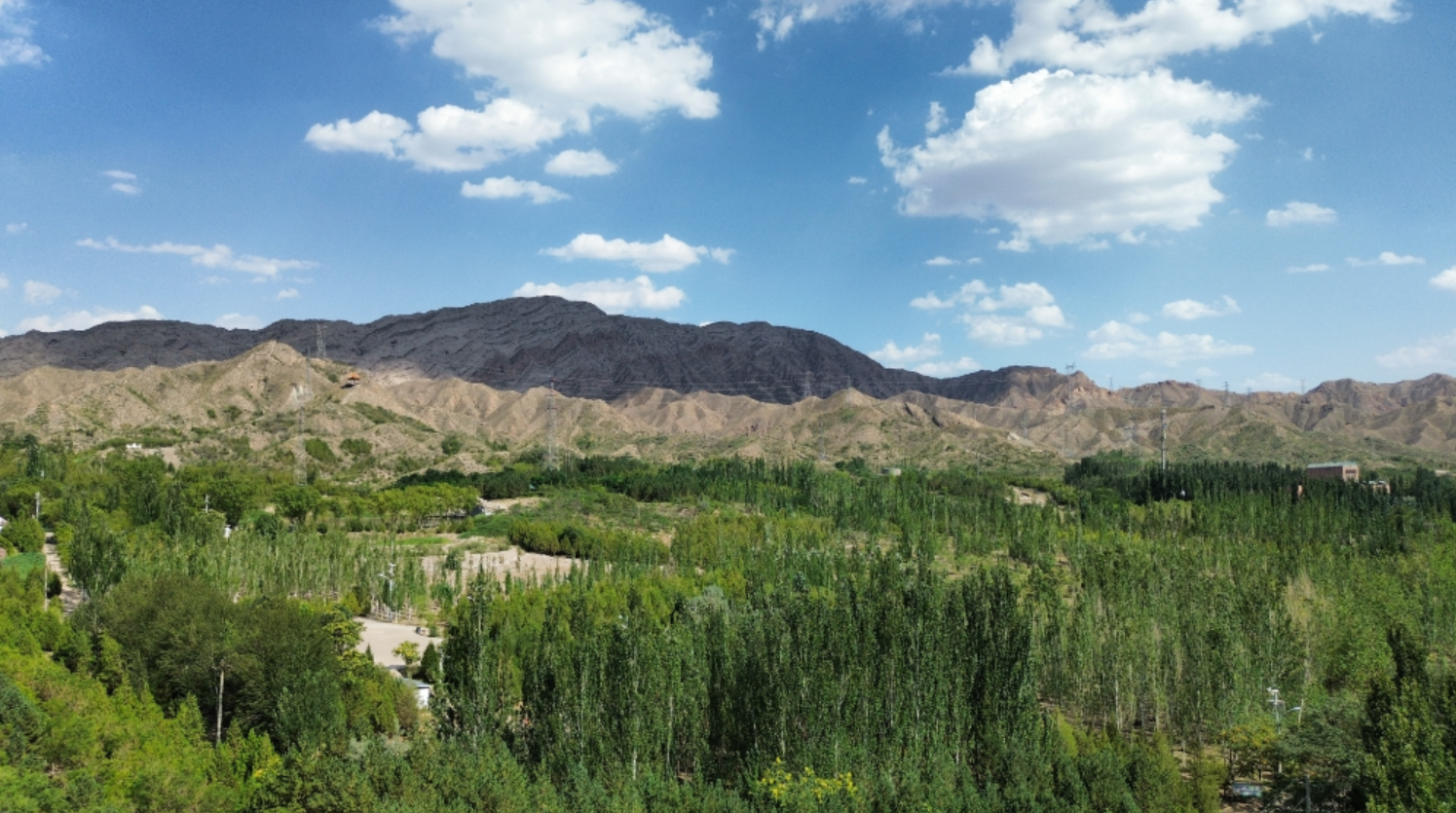 北疆行丨乌海:走进绿色的深处