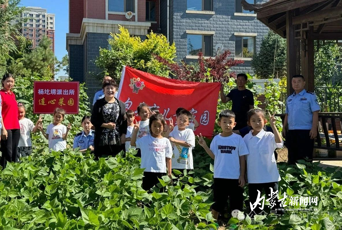 野菜种植基地搞共享菜园(野菜种植基地搞共享菜园违法吗)