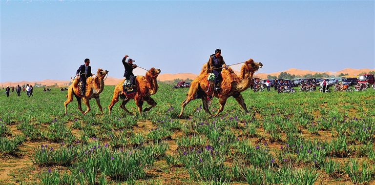 阿拉善:增进民生福祉 擦亮"幸福底色"