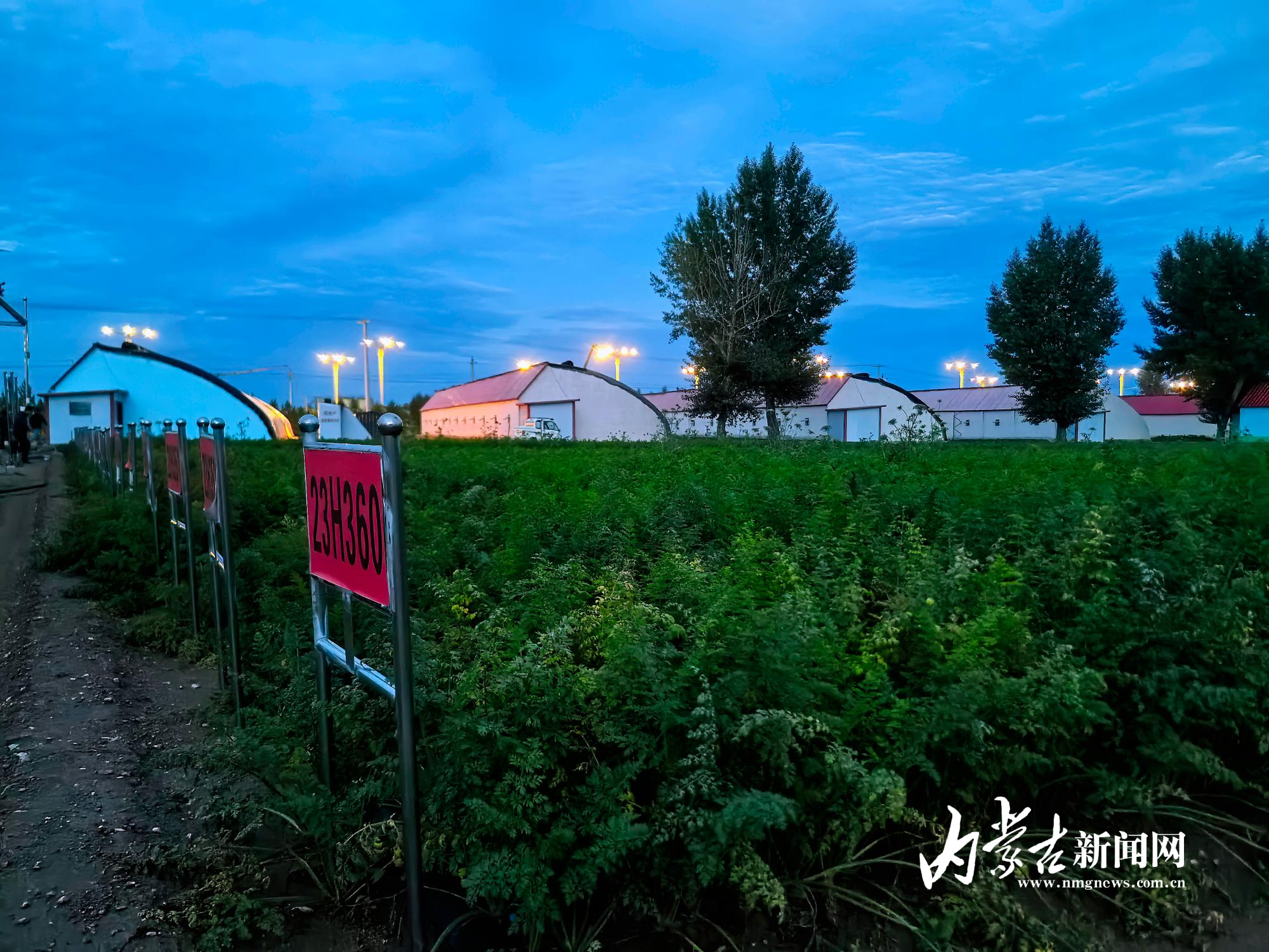 MEITU_20240906_094739647.jpg