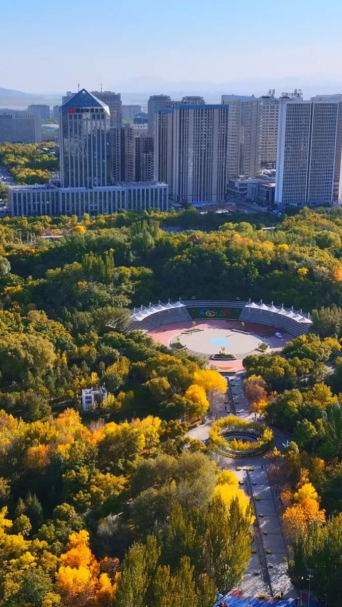 天气乌海今日情况