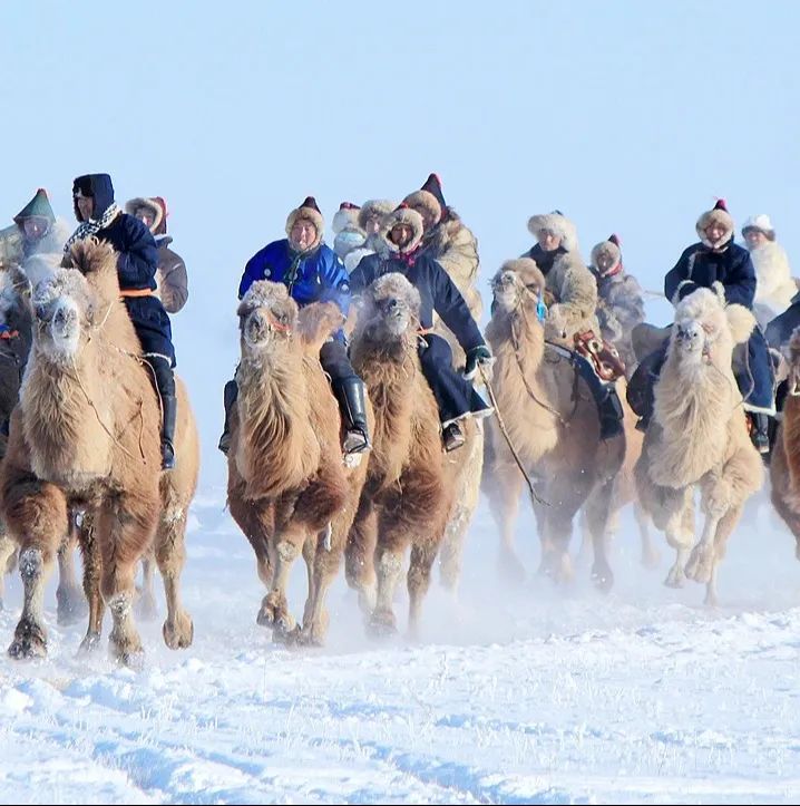 来呼伦贝尔!感受"沸腾"的冰雪那达慕