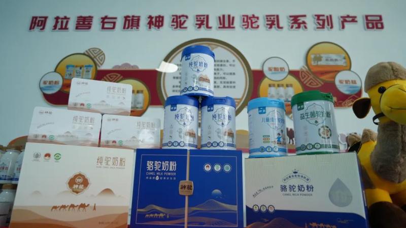 全新启航!阿拉善驼奶产业发展再添浓重一笔