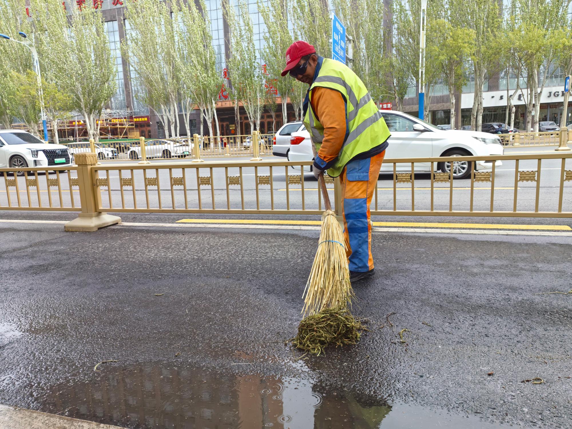 呼和浩特多措并举治理杨柳飞絮-新闻中心-内蒙古新闻网